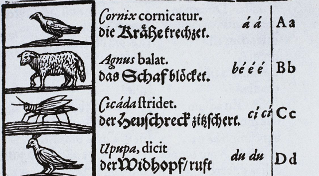 The First Picture Book