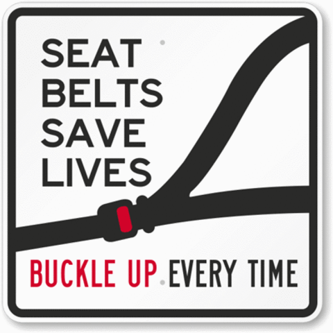 Seat Belt Law
