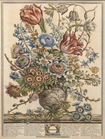 Twelve Months of Flowers by Robert Furber