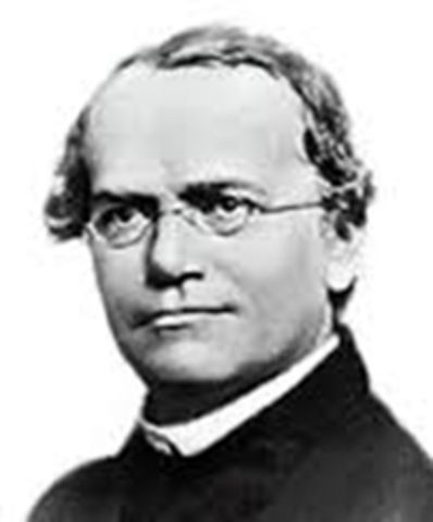 Gregor Johann Mendel (1822-1884)