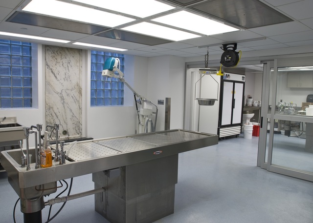 The Cobra Event: Kate Moran's Autopsy