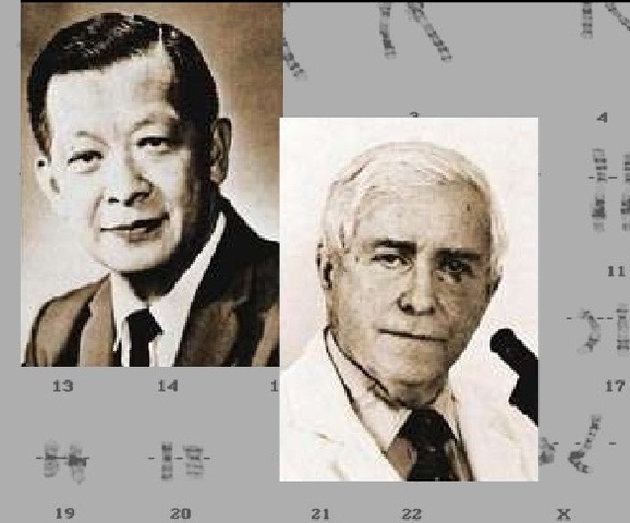 Joe Hin Tjio y Albert Levan