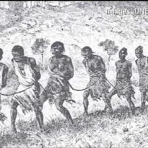 The trans atlantic slave trade 1450 to 1874