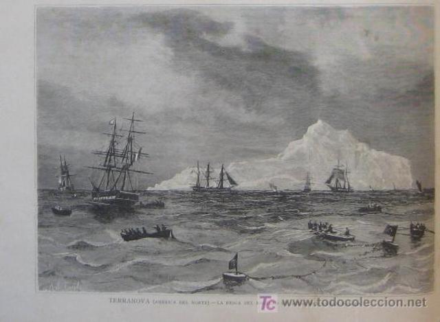 Es descubierta Terranova(Canada)