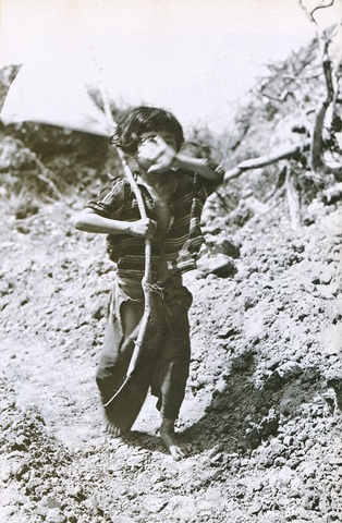 The Girl with the White Flag (World War Two)