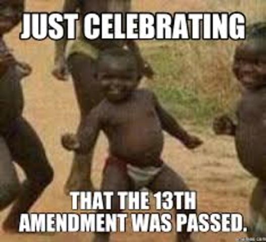 The Thirteenth Amendment