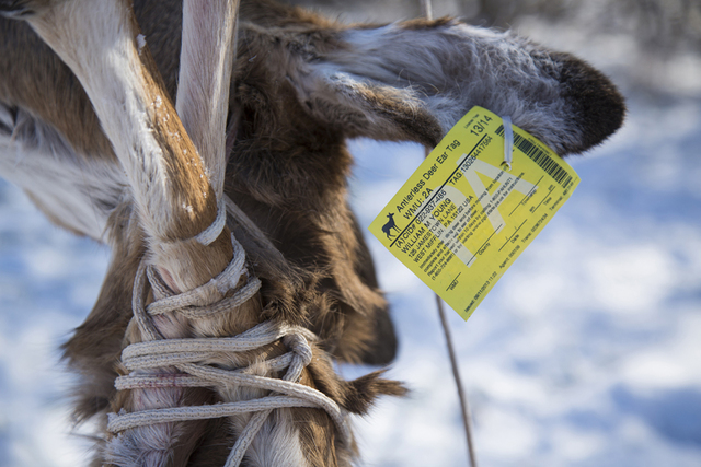 ANTLERLESS PERMIT OPTIONS FOR FARMLAND UNITS