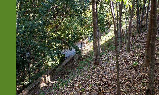 Catalanes: Cierre de las puertas del carmen al público