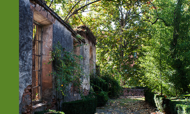 Catalanes: Apertura a visitantes desde 16/12/2002 a1/3/2003