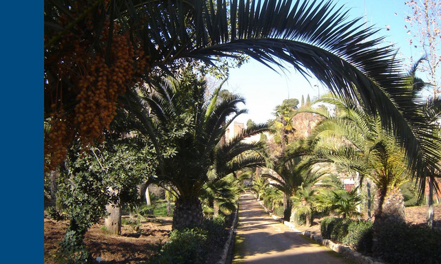 Mártires: adquisición por el Duque del Infantado