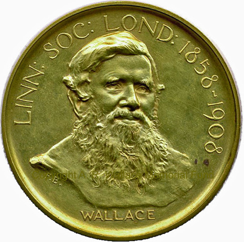 Wallace fue galardonado con la Royal Medal de la Royal Society, recibió el grado de doctor honoris causa.