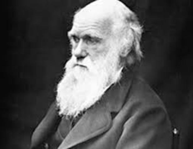 Wallace face a sus 90 años.