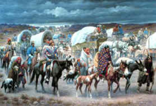 Cherokee Nation v. Georgia