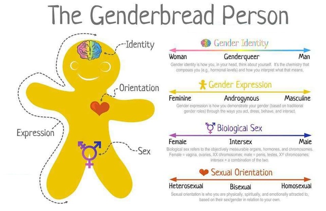 apa removed homosexuality as a mental illness
