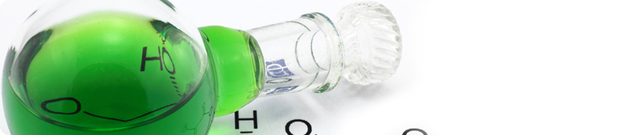 Fundación del Centro de Investigación en Nutrición, Salud y Bienestar Vidarium