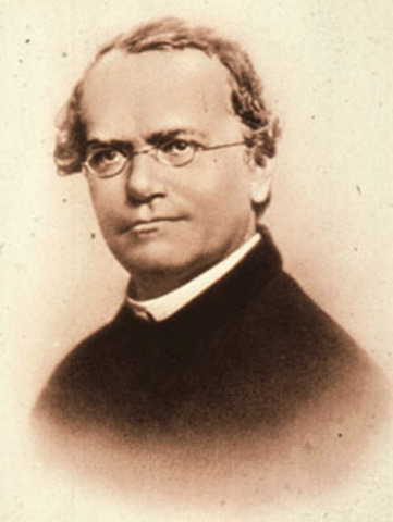 Mendel
