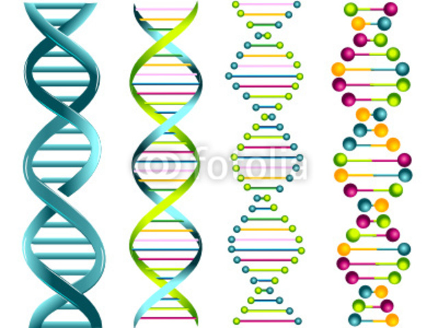 Proyecto Genoma Humano