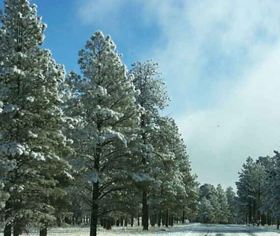 Washington, Puyallup