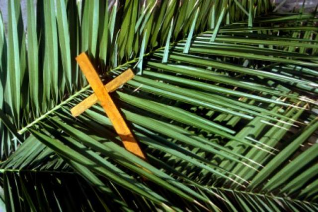 Palm Sunday