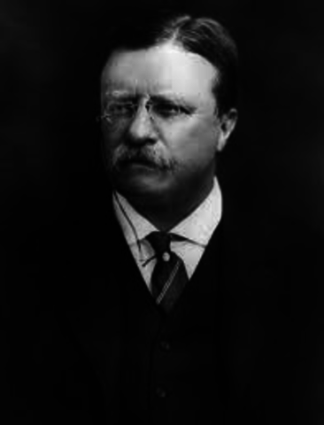 Theodore Roosevelt president