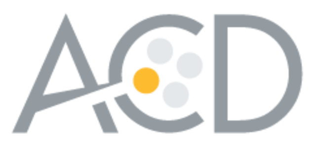 Sacks, H (1972), Schegloff, E. (1968) y Jefferson, G.(1973)