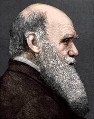 Charles Darwin - Evolutionsteori