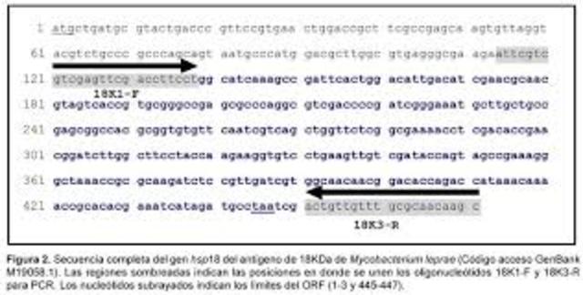 Determinacion de la secuencia de un gen