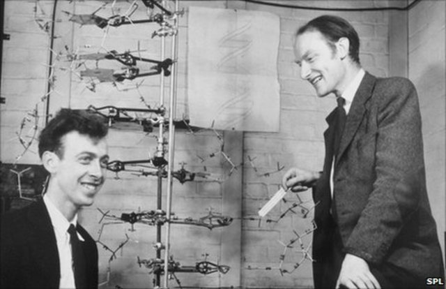 James D. Watson y Francis Crick