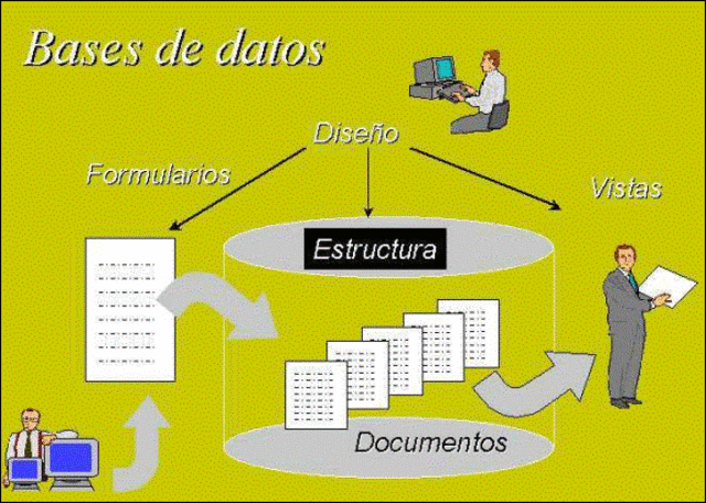 Base de datos