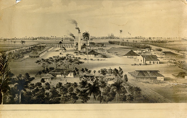 Período de formación de la conciencia nacional (1790 a 1878)