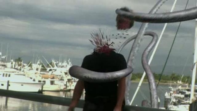 Violencia, inseguridad y corrupción minan democracia en México