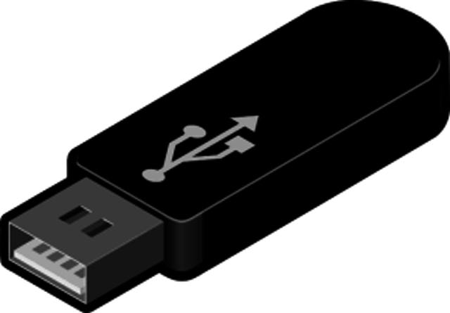 MEMORIA Flash USB (IBM)