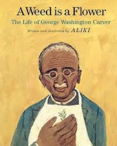 A Weed Is a Flower : The Life of George Washington Carver