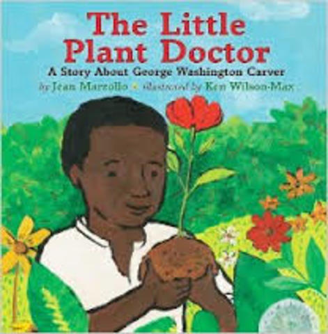 The Little Plant Doctor