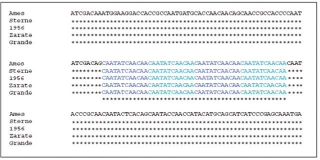 1ª secuencia de un gen humano