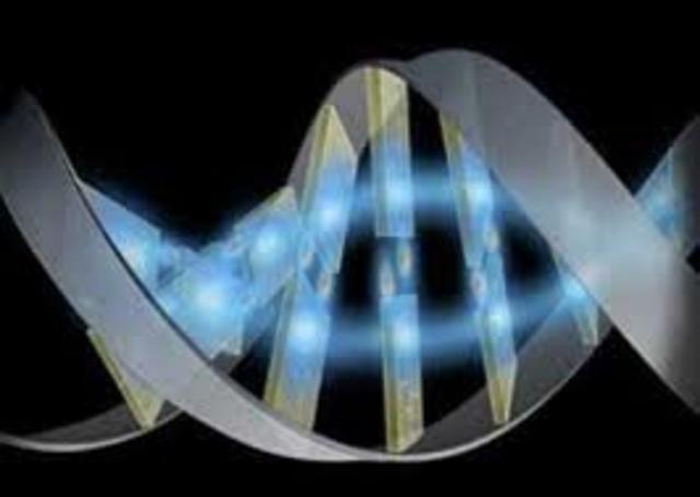 Se completa el Genoma Humano