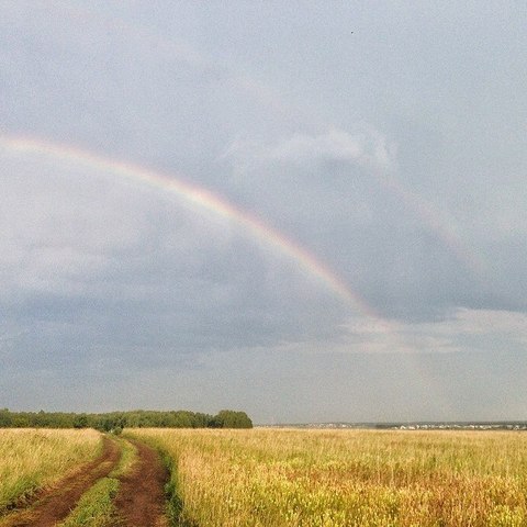 Велопрогулка вокруг шершней