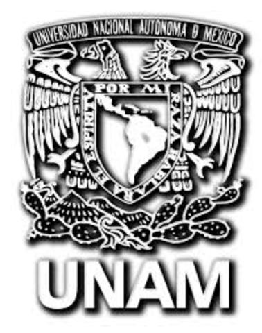 UNIVERSIDAD AUTÓNOMA NACIONAL DE MÉXICO (UNAM)