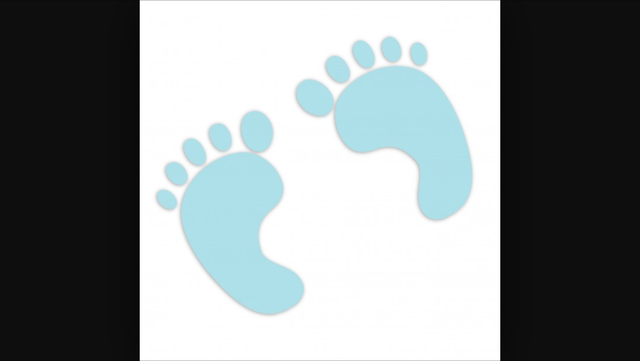 (First Two Years Biosocial Development) -First Steps