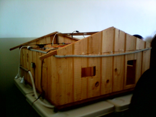 Realização da I Mostra das Licenciaturas