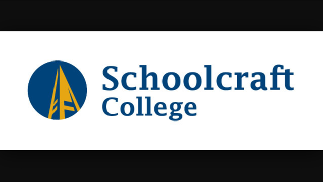 (Early Adulthood Cognitive Development) Freshman Year of College