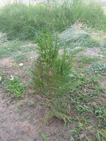 ¡Cada vez mas alto!