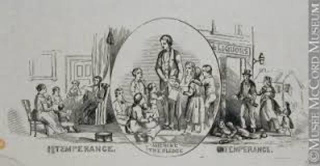 The Cult of Domesticity