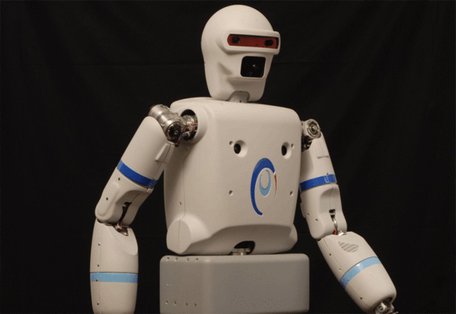 Робот-гуманоид Reem: и грузчик, и информационный центр