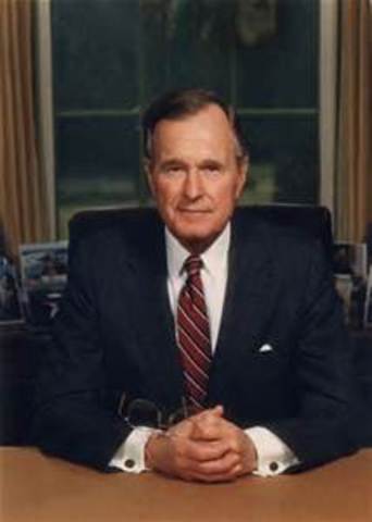 George W. Bush Becomes President
