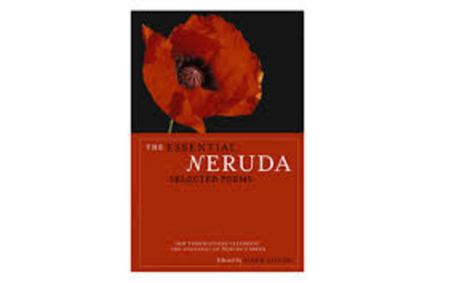 Writing career starting....