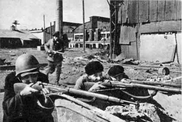 Разгром советскими войсками немецко-финского десанта