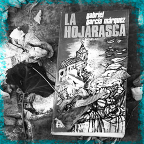 Publica La Hojarasca