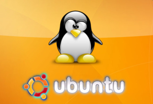 UBUNTU/LINUX