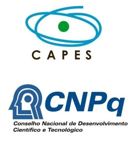 Número de Bolsas de Mestrado e Doutorado do CNPq e CAPES aumentam exponencialmente